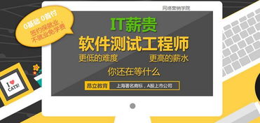 上海軟件測試與軟件開發(fā)工程師市場行情及技能提升路徑探析